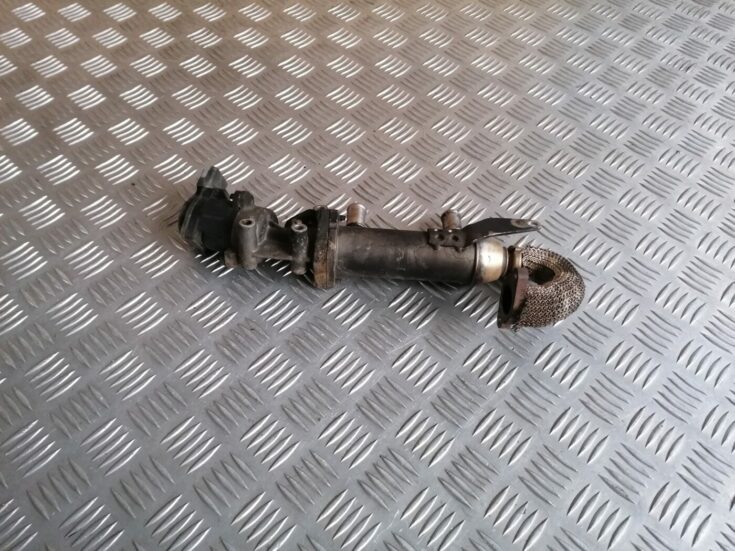 EGR vārsta dzesētājs priekš PEUGEOT 607 2010